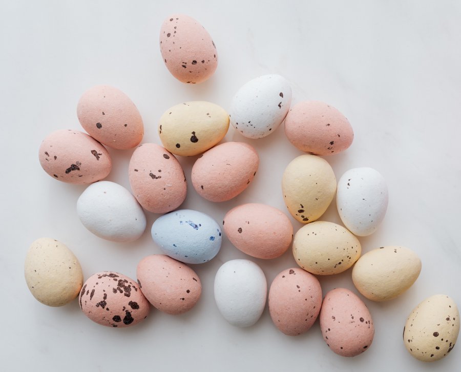 easter-eggs-and-pink-flower-4022217